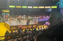 Santo Ring Guadalajara Lucha Libre Experience
