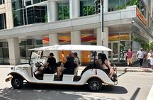Charlotte’s Southern Elegance Guided Tour by Vintage Car