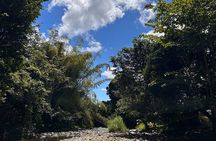 Explore El Yunque: Hiking, Swings & Waterslide (Small Group)