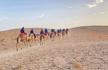 Atlas Mountains 3Valley &Sahara Camel ride Waterfalls Day Trip 