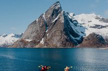 Explore Reinefjord by kayak (3 hours)
