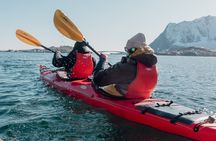 Explore Reinefjord by kayak (3 hours)
