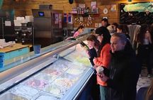Reykjavik Food Tour - Old Harbor Walking Tour