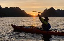 Midnight Sun Kayak in Reinefjord (3 hours)