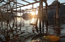 Midnight Sun Kayak in Reinefjord (3 hours)