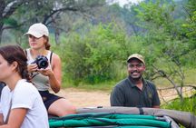 Minneriya National Park halfday Safari