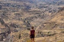 Explore the Colca Canyon From Arequipa 2 Days and 1 Night