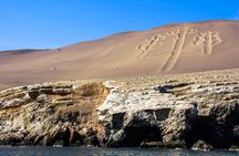 Ballestas Islands, Vineyards and Buggies in Huacachina from Ica