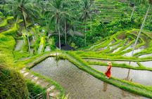 Ubud All-Inclusive Tour with Swing and Lunch