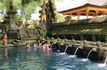 Ubud All-Inclusive Tour with Swing and Lunch