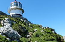 Cape Town Full Day Tour to Boulder Penguins and Cape of Good Hope