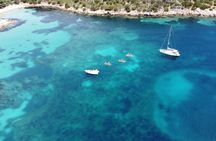 Hydrobike tour with aperitif and dolphins 