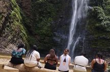 Wli Waterfall and Tafi Atome Monkey Sanctuary Tour