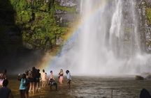 Wli Waterfall and Tafi Atome Monkey Sanctuary Tour