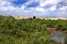 Day Tour Bethany Baptism Jordan River Site & Dead Sea from Amman