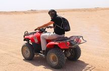 Red Sea Safari: ATV, Camel Ride & Desert Night Spectacle