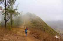 Hiking: From Serra Malagueta Natural Park to Vale de Gongon