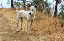 Hiking: From Serra Malagueta Natural Park to Vale de Gongon