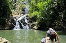 Chase Waterfalls - Discover a hidden 180ft rainforest gem