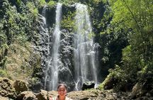 Chase Waterfalls - Discover a hidden 180ft rainforest gem
