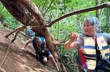 Chase Waterfalls - Discover a hidden 180ft rainforest gem