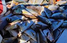 Traditional Mengo Fishing & fish picnic Hvar