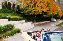 The 1-Hour Convertible Cadillac Old-Montréal History Tour SHARED