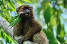 8 Day -RN7 Road trip tour to South Mangily Ifaty