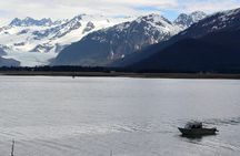 Shared Mindfulness in Wilderness Tour From Alaska