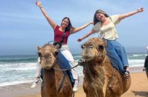 4 Hour Deluxe Private Guided Tour of Tangier