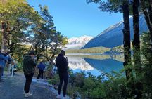 Premium Milford Sound Small Group Tour & Cruise from Queenstown