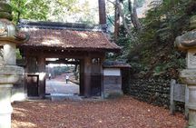 Nagoya: all-inclusive car tour to Korankei valley