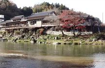 Nagoya: all-inclusive car tour to Korankei valley