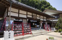 Nagoya: all-inclusive car tour to Korankei valley