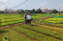 Hoi An Half-Day Bicycle Tour: Visit Herb Village, Row Basket Boat