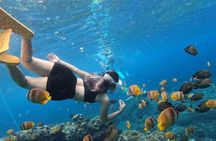 Amazing Cham Island Snorkeling Tour From Hoi An or Da Nang