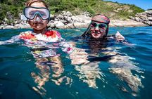 Amazing Cham Island Snorkeling Tour From Hoi An or Da Nang