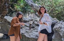 Full Day Boat Tour Cat Ba to Lan Ha Bay in Less Touristy Areas