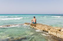 Ras Mohammed Explorer: Half-Day Nature Escape Sharm El Sheikh