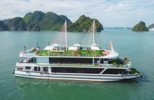 Apollo Premium Cruise 5 Star Buffet Luxury Day Trip in Halong Bay