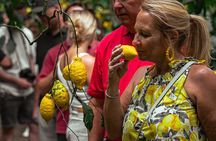 Sorrento Ape Tour, Lemon Garden, Mozzarella Show & Pizza Class