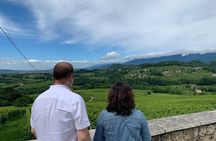 Premium Private Prosecco Hills Tour - 2 Wineries. Private tour.
