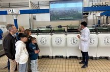 Olive Oil Tours and Tasting at Frantoio di Montalcino