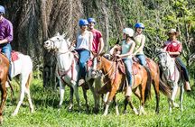 Mega Combo with Tubing, Waterfall, Lunch from Dreams Las Mareas