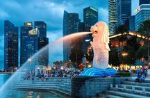 Private Starry Night Singapore Tour and Roundtrip Transfers