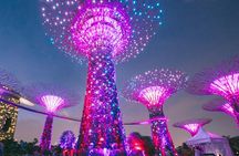 Private Starry Night Singapore Tour and Roundtrip Transfers