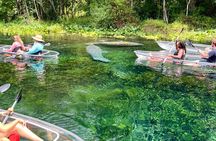 Glass Bottom Kayak Tours of Silver Springs