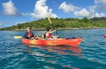 3 Hour Kayak and Snorkel with Turtles