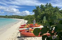 3 Hour Kayak and Snorkel with Turtles