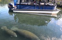 3 Hour See Crystal River Wildlife Safari Boat Cruise